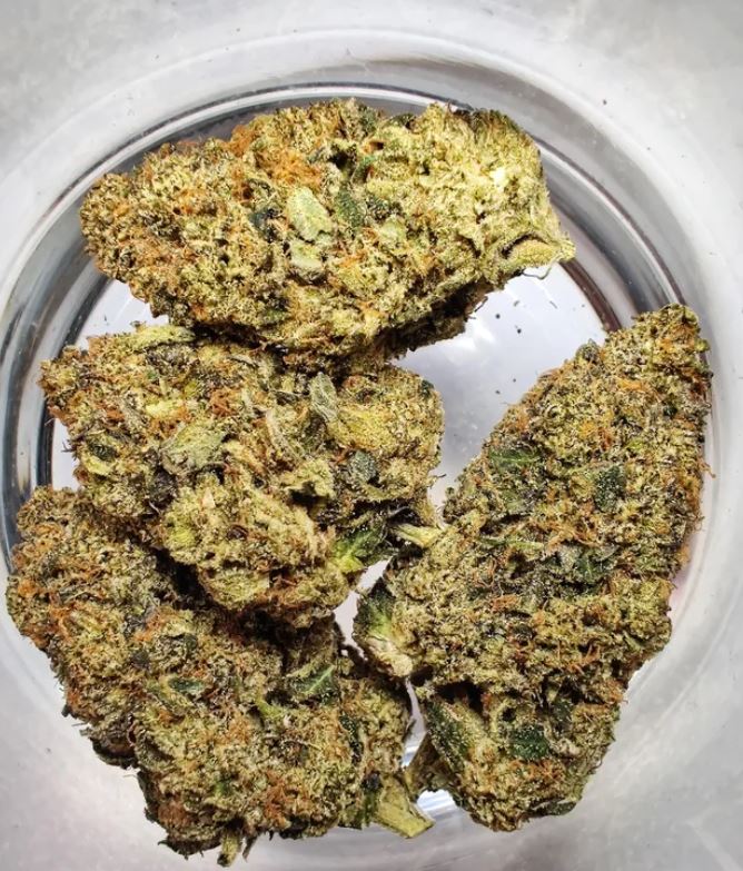 PINK DEATH TERPY VIBES