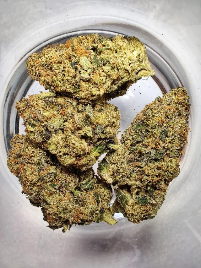 terpy vibes collective, terpy vibes, terpyvibes, terpyvibescollective,